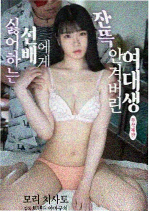 花房路线第四条记录封面